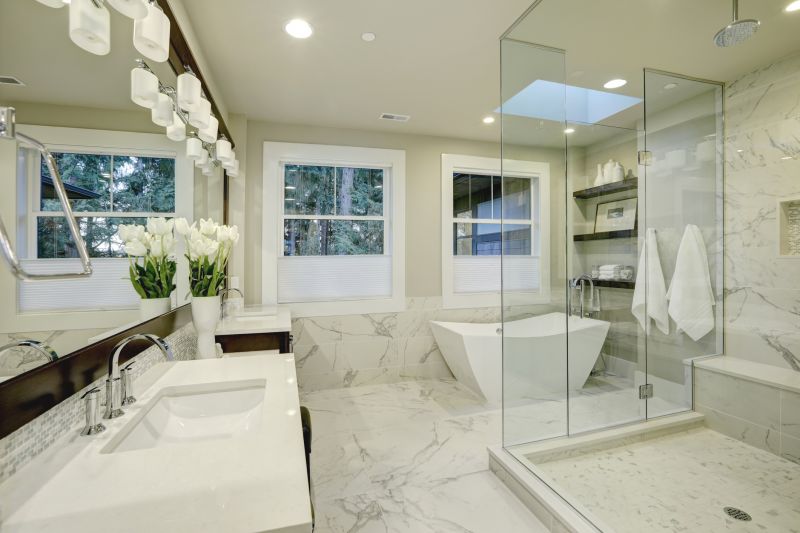 Elegant Shower and Tub Combo